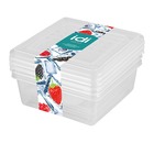 Комплект контейнеров для заморозки Asti 0,5 л х 3 шт, квадратные