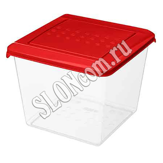 Контейнер для продуктов Asti квадратный 1 л, красный - Фото