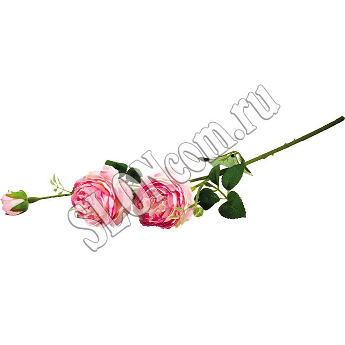 Цветок Роза пионовидная (2 цветка, 1 бутон) - Фото