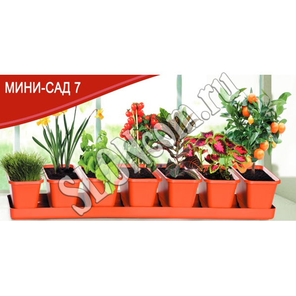Поддоны для цветочных горшков - купить пластиковый поддон в интернет-магазине steklorez69.ru