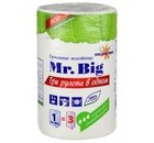 Полотенца бумажные Мягкий знак Mr.Big 2сл, 1рул, белые