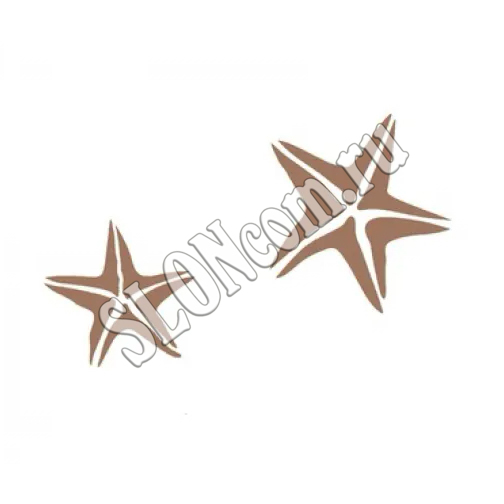 Трафарет виниловый Морская звезда 300х300 мм - Фото