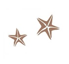 Трафарет виниловый Морская звезда 300х300 мм