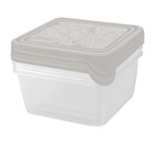Набор контейнеров для продуктов HELSINKI Artichoke 3 шт, 0,45 л, пепельный жемчуг