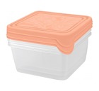 Набор контейнеров для продуктов HELSINKI Artichoke 3 штуки 0,45 л, персиковая карамель