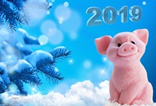 Поздравляем с наступающим Новым 2019 годом! Поздравляем с наступающим Новым 2019 годом!