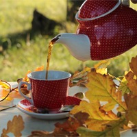 Осень встречаем чаем и скидками